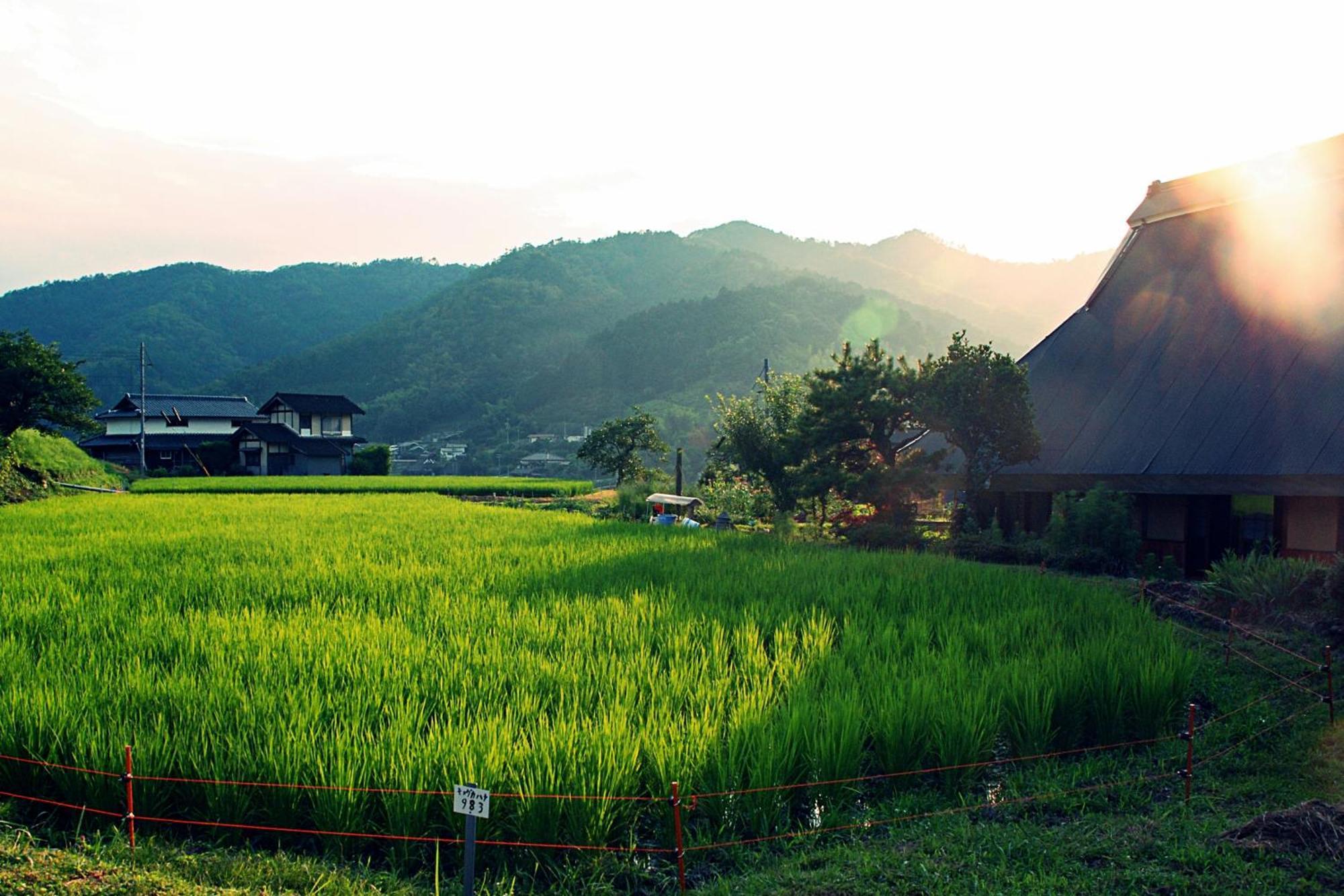 古民家の宿 ふるま家 Furumaya House Gastronomic Farmstay In Deep Kyoto Fukuchiyama Bagian luar foto