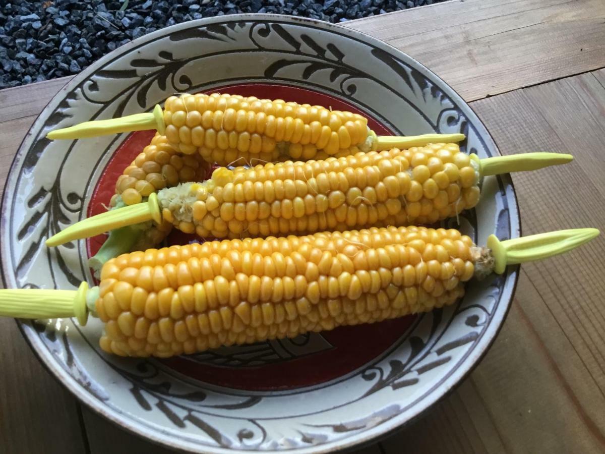 古民家の宿 ふるま家 Furumaya House Gastronomic Farmstay In Deep Kyoto Fukuchiyama Bagian luar foto